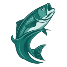 Logo EZ-Fish